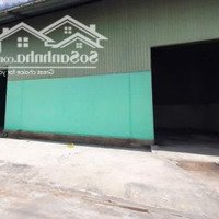 Kho Xưởng Siêu Hot 1000M2 Cần Cho Thuê Ngay Quốc Lộ 1A, P. An Phú Đông, Quận 12