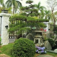 Chính Chủ Cần Bán Căn Bt Mansion Sẵn Nhà, Sẵn Sổ Giá Bán 32,9 Tỷ