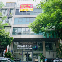 Cho Thuê Tòa Nhà Văn Phòng, Showroom Phú Mỹ Hưng, Diện Tích Sàn 1100M, 1 Trêt 3 Sàn