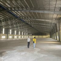 Cho Thuê Kho Xưởng Ngoài Khu Công Nghiệp Xã Đức Hòa , Long An , Khuôn Viên: 28.000M2, X : 12.000M2