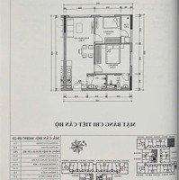 Căn Hộ Thương Mại Ssh07 - Hà Quang 1, Căn Đẹp 51M2 ( 2 Phòng Ngủ- 2Wc) Giá Chỉ 1 Tỷ 450 Triệu