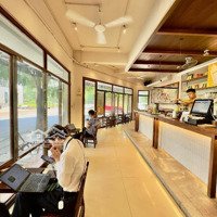 Bán Quán Cafe, Vp Phân Lô Giang Biên - Lô Góc, 90Mx6 Tầng, Thang Máy - Dòng Tiền Cực Tốt Trên 200 Triệu