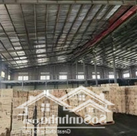 Cho Thuê Nhà Xưởng 10.000M2 Giá Chỉ 630 Triệu Trong Dĩ An, Bình Dương