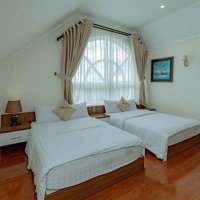 Villa Khu Biệt Thự Dic An Sơn Phường 4 Đà Lạt 412M2 Ngang Gần 20 Mét, Giá Bán 37 Tỷ