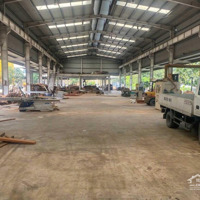 Cho Thuê 2000M2 Đất Kho Xưởng Đường Trần Phú, Thành Phố Hạ Long, Tỉnh Quảng Ninh