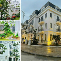 Biệt Thự Solasta Mansion Dương Nội 170M Đến 266M Xây Cao 4 Tầng 5 Phòng Ngủ Nhận Nhà Luôn