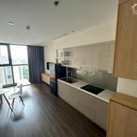 Cho thuê căn hộ cao cấp Vinhomes Riverside 1n1k tầng cao view đẹp 12tr.