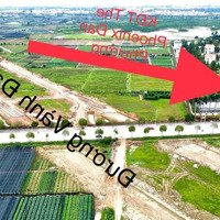 Bán Biệt Thự Hơn 200M Và 400M View Công Viên Giá Đầu Tư Giá 7X, 8X