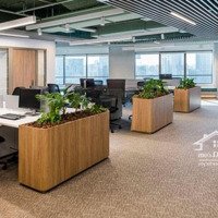 Mặt Phố Nguyễn Lương Bằng 28.1 Tỏi, 100M2, Mặt Tiền 5M, Xây Building Quá Đẹp, Kinh Doanh Sầm Uất, Ô