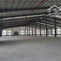 Cho Thuê Kho Xưởng 5000M2 Giá Cực Hời Trong Kcn Nhơn Trạch, Đồng Nai.