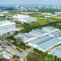 Đất Nền Xã An Bình, Huyện Phú Giáo Giá Rẻ Liền Kề 4 Kcn Lớn - Diện Tích 250M2 Sổ Sẵn