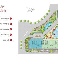 Đầu Tư Sinh Lời Cao Vic Grand Square 34M2 1 Phòng Ngủ Tầng Đẹp Hướng Mát Giá Bán 1,418 Tỷ