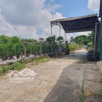 Bán 180M Lô Đất Đấu Giá Thôn Phù Bãi. Đất Đẹp Đường Siêu Rộng. Giá Tốt Cho Các Nhà Đầu Tư