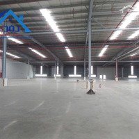 Cần Bán 40000M2 Xưởng Mới Tinh Giá Chỉ 220 Tỉ