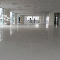 Cho Thuê Vp Tòa Mitec Tower, Phố Dương Đình Nghệ, Q. Cầu Giấy 317M2 Có Cắt, Giá 200.000Vnđ/M2/Th