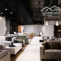 Hiếm - Cho Thuê Nhà Mặt Phố Cát Linh - 230M2 X 4.5 Tầng -Mặt Tiền15M - Nhà Đẹp Hợp Làm Showroom