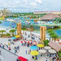 Chỉ 163 Triệu/M2 Có Ngay Căn Liền Kề Vip 3 Mặt Thoáng Mặt Tiền 6M Tại Dự Án Vinhomes Ocean Park 2