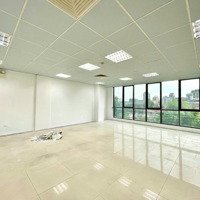 Cho Thuê Sàn Văn Phòng Nguyễn Du 130M2 Sàn Đẹp Như Ảnh Giá 25 Triệu