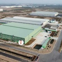 Cho Thuê Xưởngtại Thái Bình, 4000-16.000M2, Giá 87,5K/M2, Làm Fdi, Epe, Pccc Tự Động, Xưởng Mới Xây