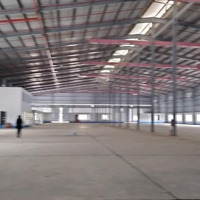 Cho Thuê Kho, Xưởng 10000M2 , Văn Phòng 600M2 Tại Tân Trường, Cảm Giàng Hải Dương Chính Chủ