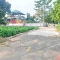 Cần Bán Gấp 62,6M2 Đất Full Thổ Cư Tại Phúc Tiến Bình Yên Thạch Thất. Đường Thông Ô Tô Vào Tận Đất.