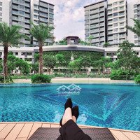 Celadon City Rổ Hàng T10- Cdt- Penthouse-Duplex Diamond Centery-Alnata-Brilliant-Sky Villa-The Glen