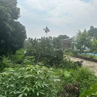 Gia Đình Cần Bán Nhanh Siêu Phẩm 707,6M Ont 240M Tại Thôn 7 Xã Phú Cát Quốc Oai Hà Nội