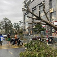 Chính Chủ Bán Căn Hộ Lê Trọng Tấn, Dương Nội. Diện Tích 67M2. Ban Công Đông Nam. Giấy Tờ Đầy Đủ