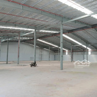 Cho Thuê Kho Tam Bình Với Diện Tích 2500 M2