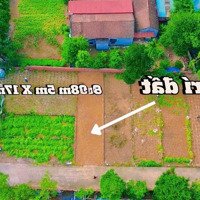 Chính Chủ Gửi Bán Lô Đất Thôn 4 Xã Phú Cát Quốc Oai Hà Nội