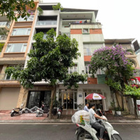 Cực Gấp! Bán Toà Building 8 Tầng Thông Sàn Mặt Phố Trần Quang Diệu, Mặt Tiền 5M, Giá Đầu Tư