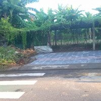 Cần Bán :Đường 7M5 Cẩm Nam 10 Hòa Xuân Giá 3050