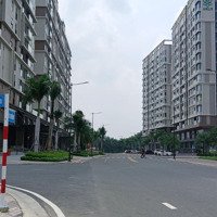 Nhà Phố 5 Tầng Khu Đô Thị Cao Cấp Mizuki Park, Giáp Khu Đô Thị Phú Mỹ Hưng, 5X20M, Chỉ 12.X Tỷ.