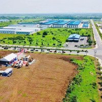 Mặt Tiền Quốc Lộ 55, Đối Diện Cổng Khu Công Nghiệp Đất Đỏ, Giá Đầu Tư, Tiềm Năng