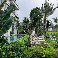 Chỉ Cần 8,5 Tỷ Đã Sở Hữu Căn Góc Biệt Thự Đơn Lập Đảo Central Island - Eco Central Park