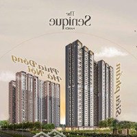 Quỹ Căn Độc Quyền The Senique - Chiết Khấu Tốt Nhất