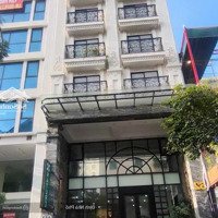 (Nợ Ngân Hàng) Cần Bán Building 8 Tầng Siêu Đẹp - Mặt Phố Giảng Võ - 139M2 Mt: 8M - Dòng Tiền Khủng