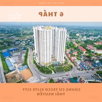 Thanh Khoản Nhanh Căn Hộ 3 Phòng Ngủ Tại Chung Cư Tecco Elite City Thái Nguyên