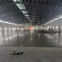 Cho thuê kho xưởng 2000m2; 5000m2; 10000m2 trong KCN Nhơn Trạch, xã Long Thọ, Huyện Nhơn Trạch, ĐN