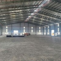 Cho Thuê Xưởng Tiêu Chuẩn Kcn Cần Giuộc , Long An Khuôn Viên :12.000M2, Xưởng:6.000M2, Pccc Tự Động