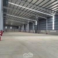 Cho Thuê Kho Xưởng Mới Xây, Kcn Cần Giuộc , Long An Khuôn Viên :50.000M2, Xưởng : 30.000M2