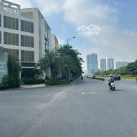 Chính Chủ Cần Cho Thuê Shophouse Starlake, Đối Diện Chung Cư Cao Cấp