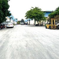 Cho Thuê Kho Chứa Hàng Thường Và Hàng Ngoại Quan, Diện Tích Linh Hoạt Đến 10.000 M2