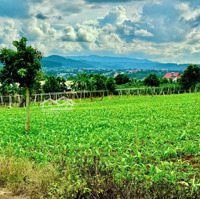 View Hồ Đông Thanh Núi Đồi Chill - View Trực Diện Tt Nam Ban 345M2 . Cách Nhựa 500M - Gía F0