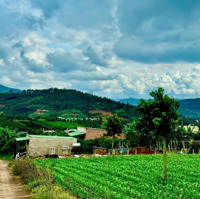 View Hồ Đông Thanh Núi Đồi Chill - View Trực Diện Tt Nam Ban 345M2 . Cách Nhựa 500M - Gía F0