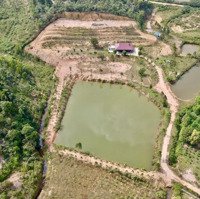 Chuyển Nhượng Khu Homesfarm Giá Rẻ ( Cách Hồ Đại Lải Hơn 1Km )