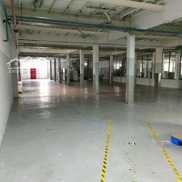 Cho Thuê Kho Xưởng Đường Kcn Tân Bình Tân Phúdiện Tích: 2500 M2 Giá Bán 265 Triệu Pccc Tự Động Có Văn Phòng