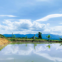 View Đẹp Đồi Bát Úp Đại Lào, Đường Hiển Thị Sổ, Đồi Chè Thơ Mộng Cùng Sầu Riêng Và Bơ, Gần Dân Cư