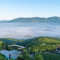 View Đẹp Đồi Bát Úp Đại Lào, Đường Hiển Thị Sổ, Đồi Chè Thơ Mộng Cùng Sầu Riêng Và Bơ, Gần Dân Cư