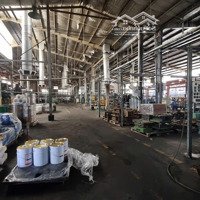 Cho Thuê 3 Xưởng Trần Đại Nghĩa, Bình Chánh , Diện Tích :1.200M2 - 2.000M2 - 3.000M2